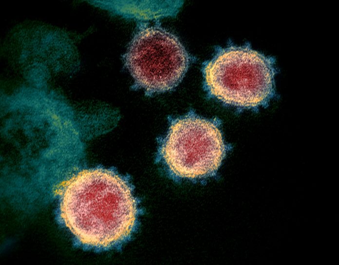 Swiss Scientists Have Recreated the Coronavirus in a Lab