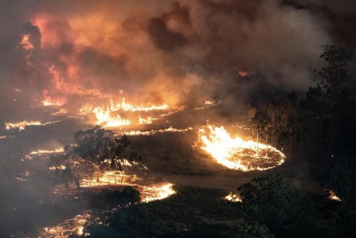 Australia bushfires: Firefighter dies, bringing death toll in Victoria to 4