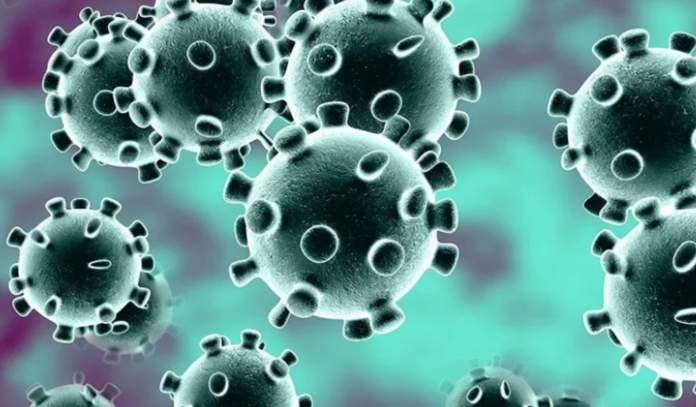 Coronavirus: Burkina Faso records first death in sub-Saharan Africa