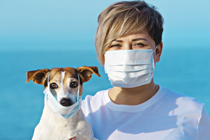 Coronavirus: Should We Be Worried About Our Dogs And Cats?