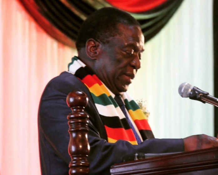 Zimbabwe Names Vice President as New Health Minister After Coronavirus Graft Scandal