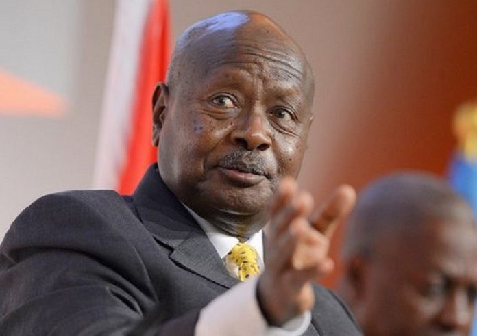 ‘Africa should’ve fought foreign powers in Libya’ – Uganda’s Museveni regrets inaction