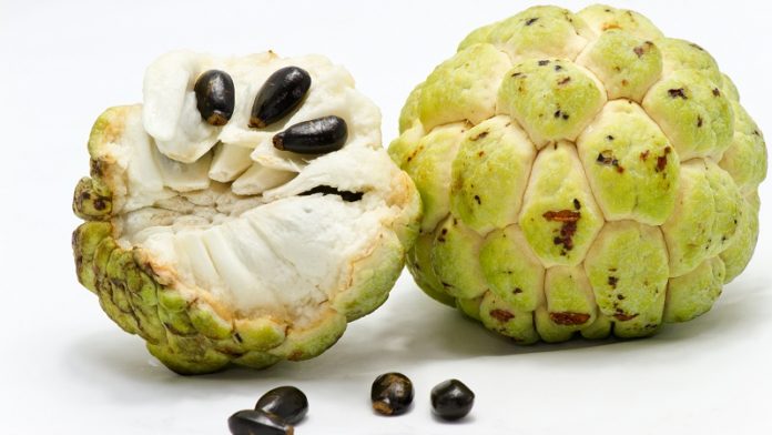 Never pass by sugar apple fruit again, and this is why