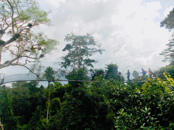 Kakum National Park Canopy Walkway in Cape Coast, Ghana