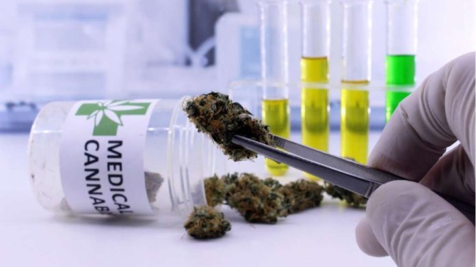Rwanda legalises medical use of Cannabis